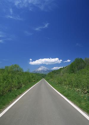 これから本格的に車検を受けるならば