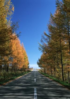 山梨県には低レベルの車検業者なし！