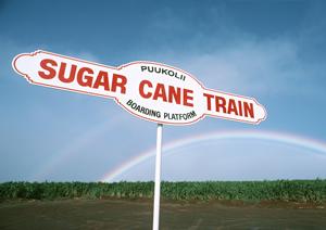 北九州市小倉南区の軽自動車専門店ケイカフェこくらみなみ店：最大級在庫と地域密着型サービスの魅力