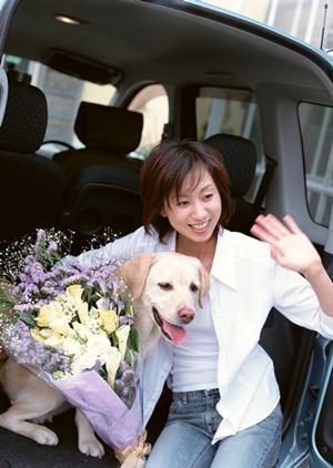 スピーディーで高品質な車検ならここへ