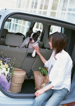 輸入車パーツと中古車買取の専門店 PartsWeb(パーツウエブ)大衆自動車商会埼玉店の全貌