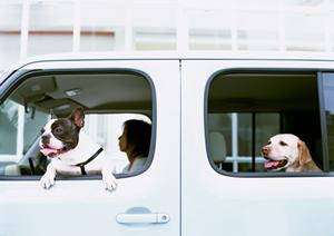 一宮市で車のリースを考えている方
