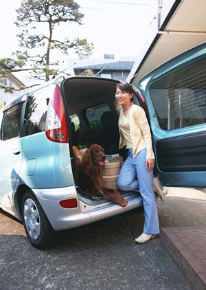 車検見積もり完全ガイド|費用を抑えて安心・信頼のサービスを選ぶ方法